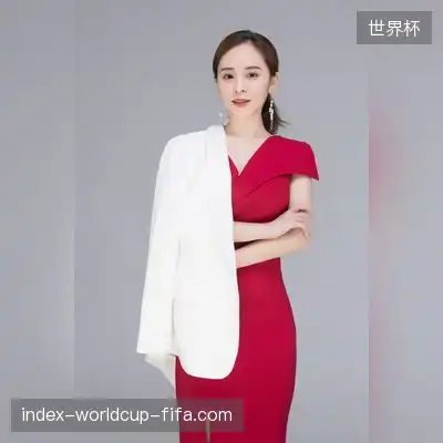 傅冰